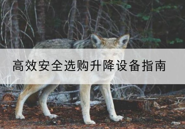 市北升降货梯厂家推荐-*安全选购升降设备指南