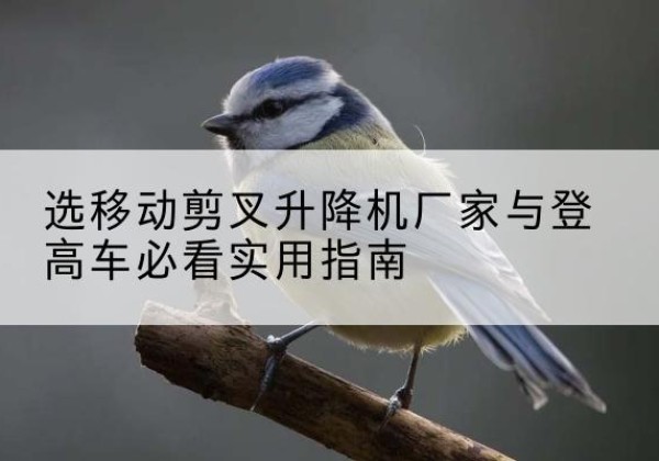 市北电动升降机厂家-选移动剪叉升降机厂家与登高车必看实用指南