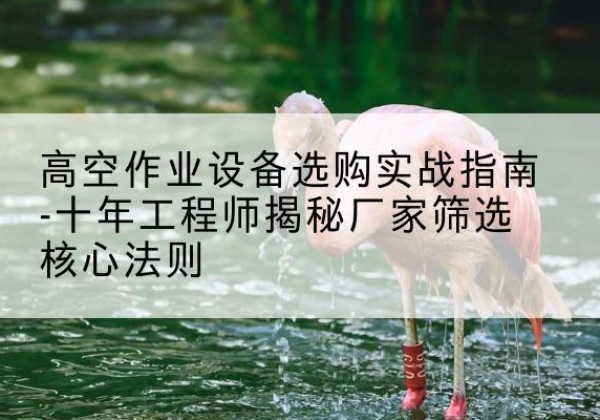市北剪叉式升降机厂家-高空作业设备选购实战指南-十年工程师揭秘厂家筛选核心法则